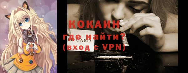 индика Беломорск
