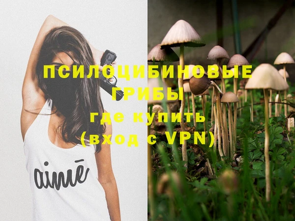 индика Беломорск