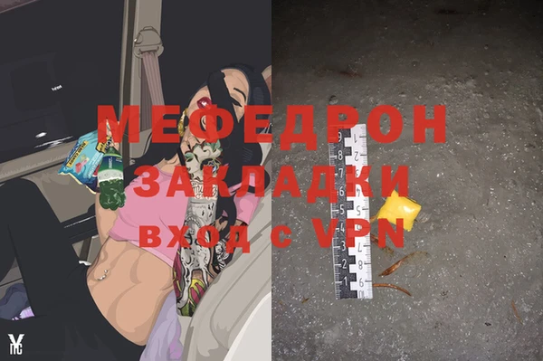 индика Беломорск