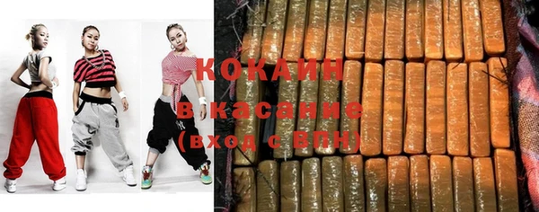 индика Беломорск