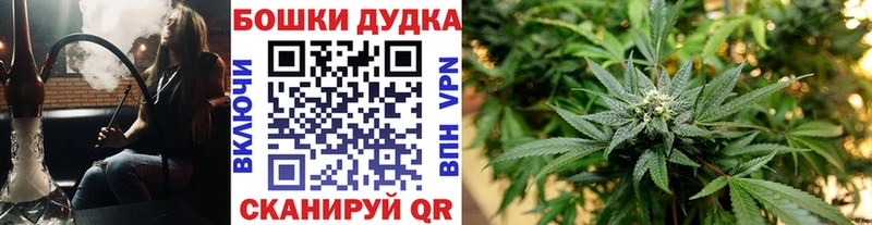 Канабис сатива  купить   Нерчинск 